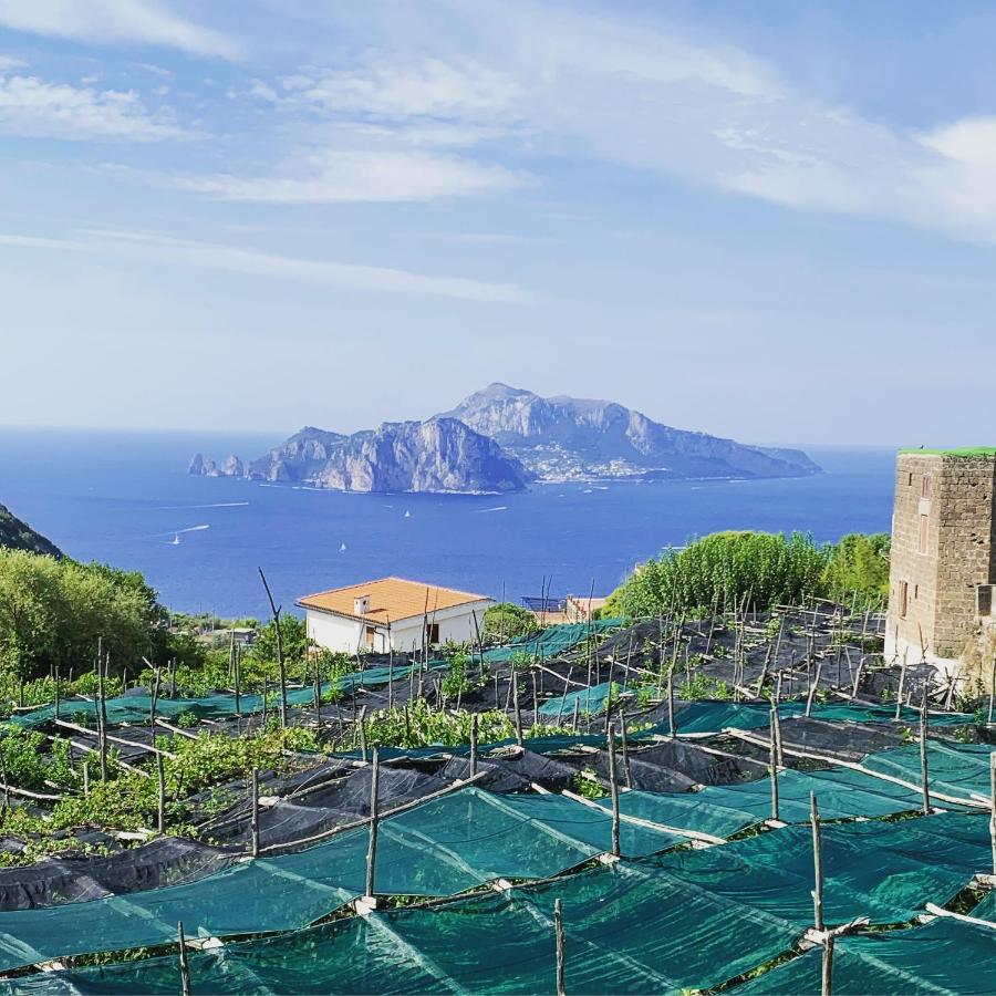 The Dream Villa Massa Lubrense Exterior photo